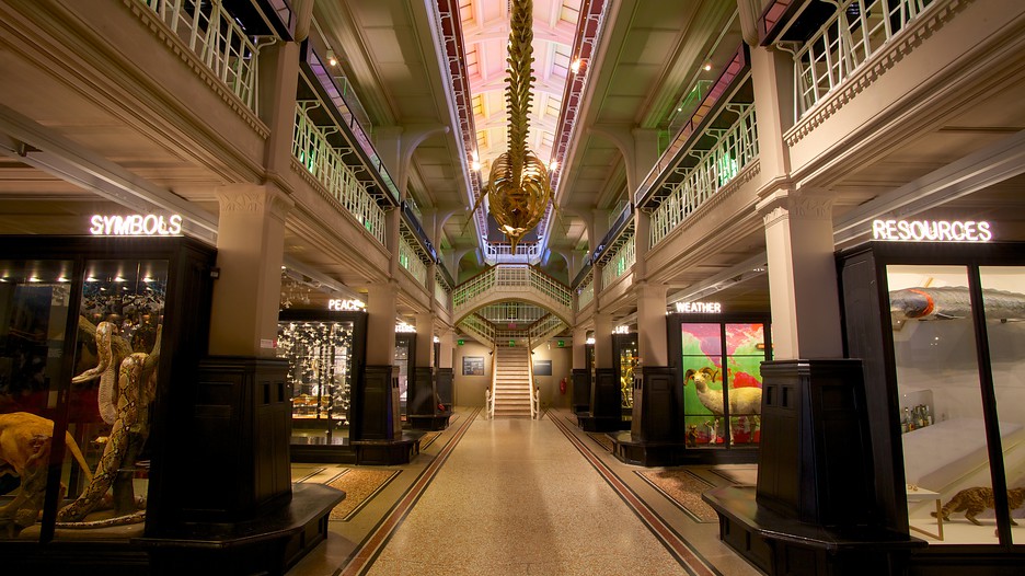HOTEL IMPORTANTE hotel importante:
