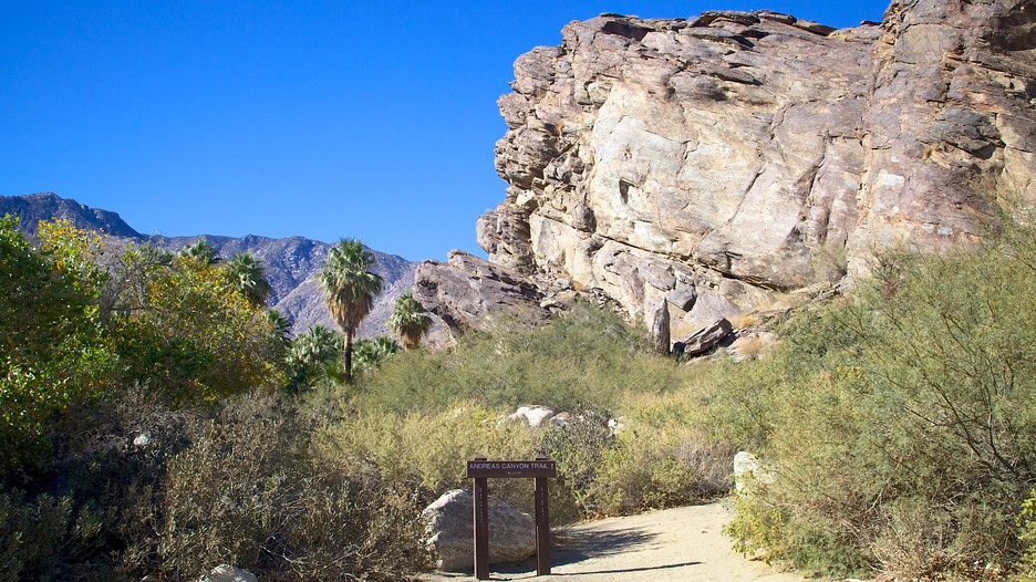Indian Canyon - Palm Springs - Tourism Media