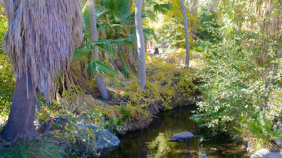 Indian Canyon - Palm Springs - Tourism Media
