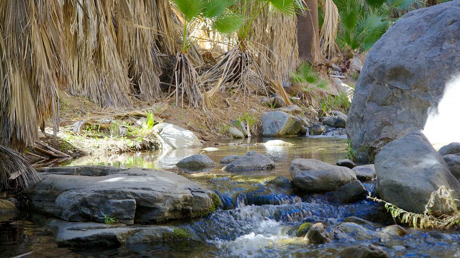 Indian Canyon - Palm Springs - Tourism Media