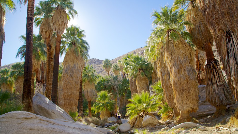 Indian Canyon - Palm Springs - Tourism Media