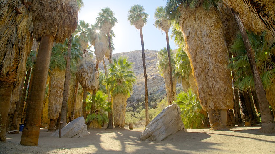 Indian Canyon - Palm Springs - Tourism Media