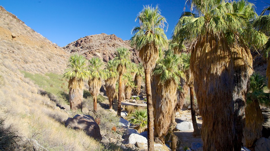 Indian Canyon - Palm Springs - Tourism Media