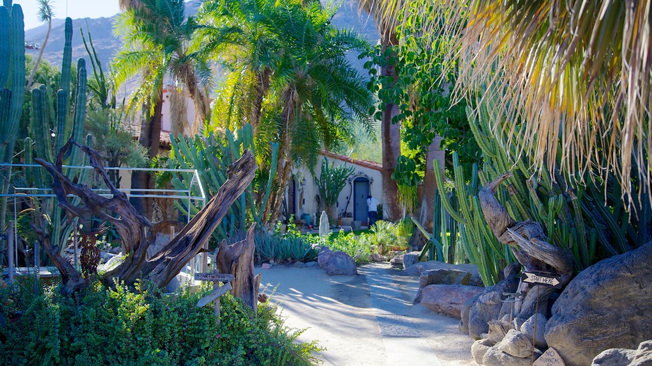 Jardim Botânico Moorten e Cactarium - Palm Springs - Tourism Media
