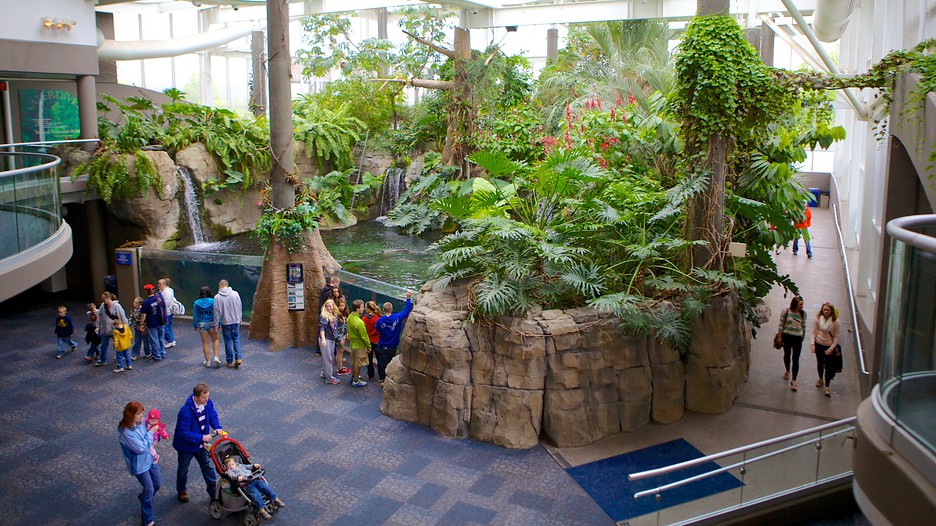 Pittsburgh Zoo and PPG Aquarium in Pittsburgh, Pennsylvania Expedia