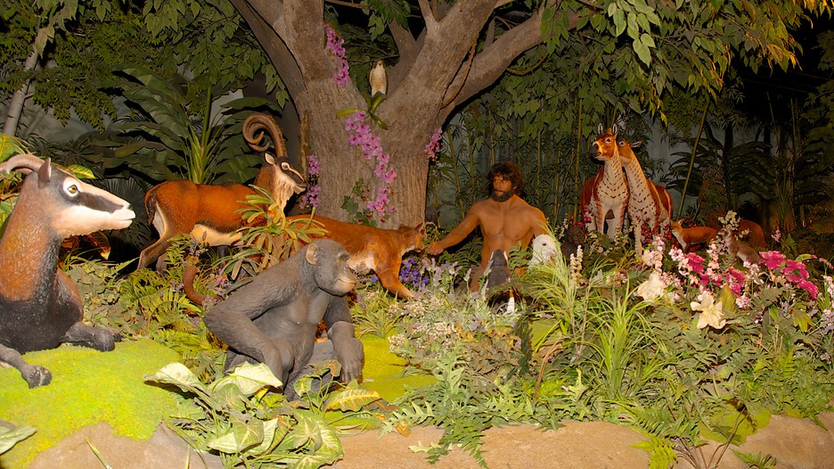 Creation Museum Información de Creation Museum en Cincinnati, Estados