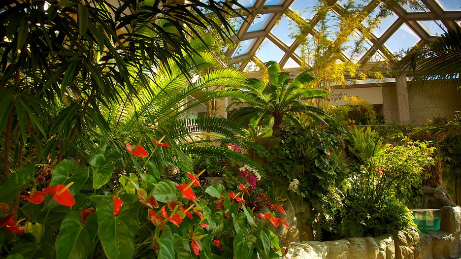 Denver Botanic Gardens in Denver, Colorado Expedia