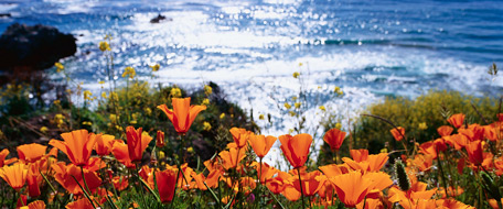 Hotel Near Carmel River State Beach Hotel Near Carmel River State Beach