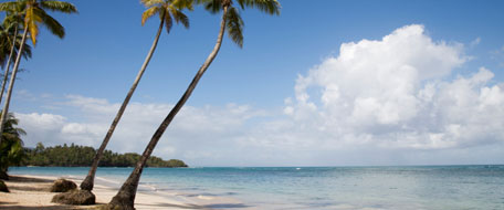 cadenas hoteleras de republica dominicana hoteles barcelo en puerto plata rep 250 blica dominicana cadenas hoteleras de republica dominicana hoteles barcelo en puerto plata rep 250 blica dominicana