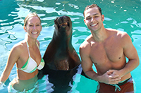 Sea Lion Encounter in Small Group