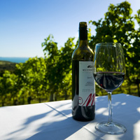 Wine On Waiheke Tour