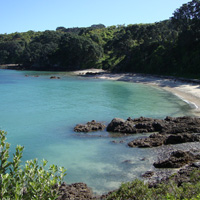 Tiritiri Matangi Island