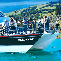 Akaroa Harbour Nature Cruises