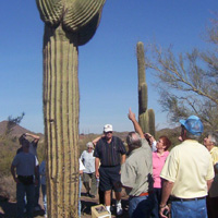 Full-Day Tour: Apache Trail and Dolly Steamboat