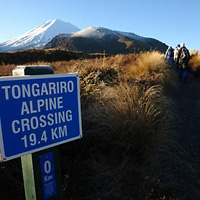Tongariro Alpine Crossing Guided Adventure