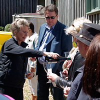 Tour of Waiheke Island