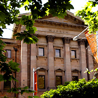 Australian Museum Admission with Optional Guided Tour