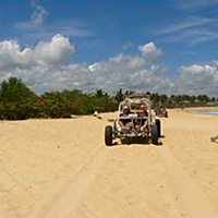 Xtreme Dune Buggy Half-Day Excursion