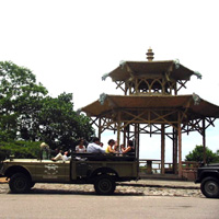 Half-Day Jeep Tour of Botanical Garden and Tijuca Forest
