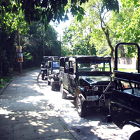 Half-Day Jeep Tour of Tijuca Forest