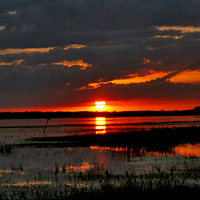 Boggy Creek Airboat Nighttime Ride