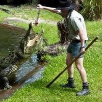 Cairns Tropical Zoo Admission with Optional Transfers