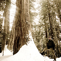 Medicine Trail Snowshoe Tour