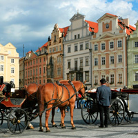 Private Horse Drawn Carriage Tour