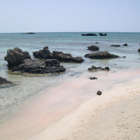Elafonissi Island Paradise Full-Day Tour