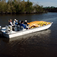 Everglades National Park Boat-Assisted Kayak Eco Tour