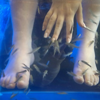 Pedicure Spa Treatment by Garra Rufa Fish