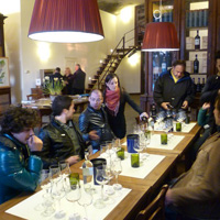 Horseback Riding in Tuscany with Lunch and Wine Tasting