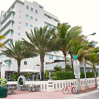 Everglades Airboat Ride and Miami Sites and Shopping Tour
