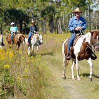 Horseback Safari