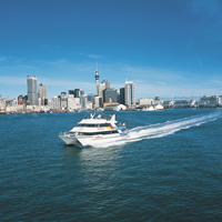 Spectacular Auckland: Full Day Sightseeing