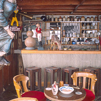 Coastal Vina del Mar and Neruda's Isla Negra Tour