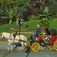 Coastal Vina del Mar and Historic Valparaiso