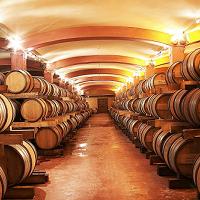 Full-Day Ancient Corinth and Vineyard Wine Tasting Tour