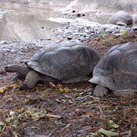 Full-Day Cruise of Mahe Island's Southern Coast