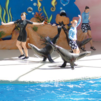 Admission to Miami Seaquarium