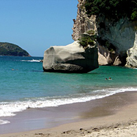 Beaches of the Coromandel Peninsula Day Tour