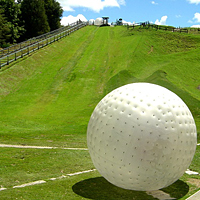 Rotorua and Waitomo Caves Day Tour