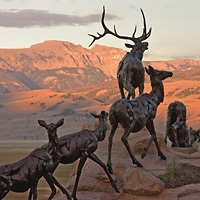National Museum of Wildlife Art