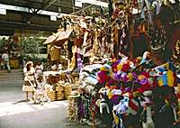 Highlights of San Antonio