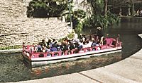 Double Decker Tours - Choice of 3 Tours