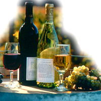 Hill Country Wine Tour