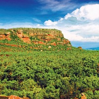 Kakadu National Park Explorer Full-Day Tour with Lunch