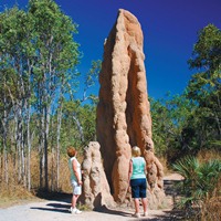 Litchfield National Park Waterfalls Full-Day Tour with Lunch