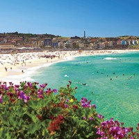 Sydney Day Tour with Optional Sydney Harbour Lunch Cruise