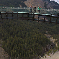 Glacier Explorer (Includes Admission to Glacier Adventure & Glacier Skywalk)